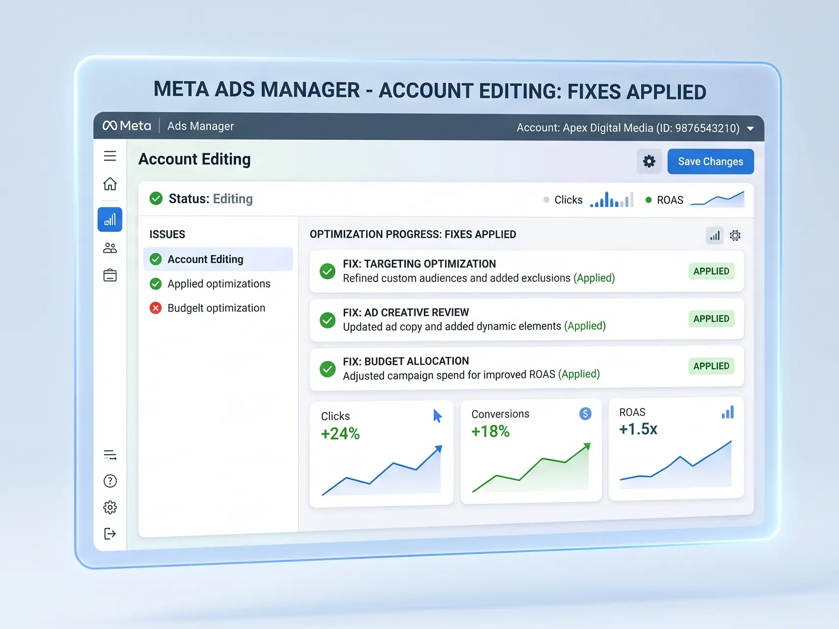 Account audit